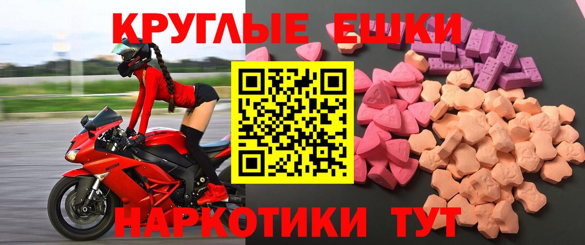 Зеленогорск  Экстази  Вход с VPN  Экстази Philipp Plein 