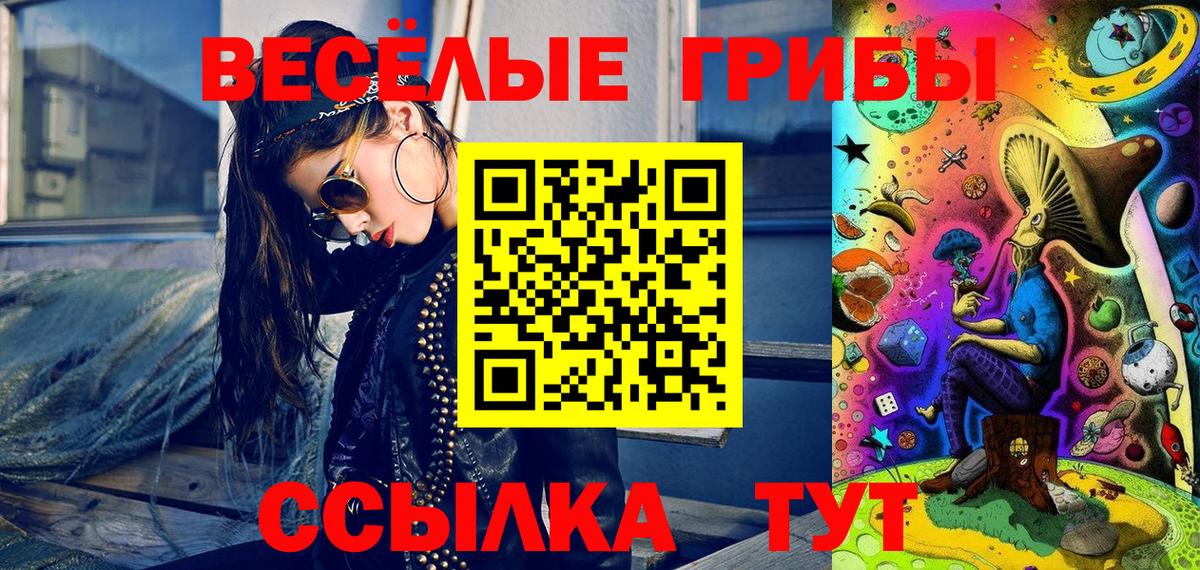 Псилоцибиновые грибы ЛСД Зеленогорск